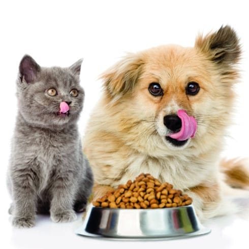 Petfood